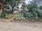 Residential plot available in nalapani Techers colony Main Image 1