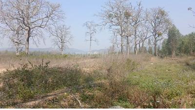 Image of 136200 Sq.ft Residential Plot / Land for sale in Ramnagar, Nainital for Rs. 80000000