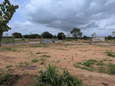 Open plot kothur Plot View 1