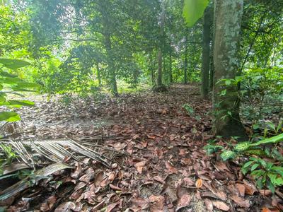 Image of 3485 Sq.ft Residential Plot / Land for sale in Chendamangalam, Kochi for Rs. 3600000