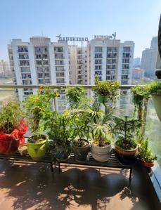 Image of 1600 Sq.ft 3 BHK Apartment / Flat for sale in Microtek Greenburg, Sector 86, Gurgaon for Rs. 28500000