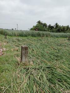 Amtala Plot View 3