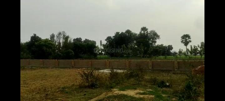 Bihta Main Image 1
