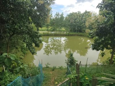Image of 27648 Sq.ft 12 BHK Farm House for sale in Udaipur, Gomati for Rs. 20000000