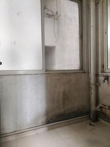 Drying Area Image of 1050 Sq.ft 2 BHK Apartment / Flat for sale in shantiban, Kondhwa Budruk Pune for Rs. 11000000
