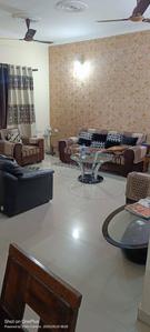 Hall Image of 800 Sq.ft 3 BHK Independent House for rent in Minal Residency Bhopal for Rs. 18000