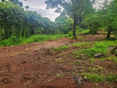 Image of 442 Sq.ft Residential Plot / Land for sale in Baingini, Goa for Rs. 22500000