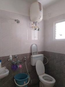 Common Bathroom Image of 1200 Sq.ft 2 BHK Apartment / Flat for rent in Kumbalgodu Bengaluru for Rs. 16200