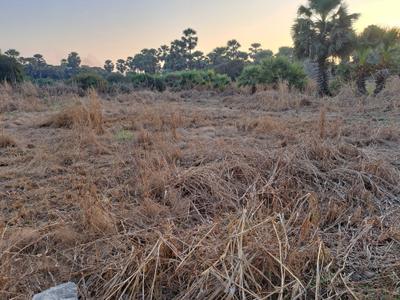 Image of 9000 Sq.ft Residential Plot / Land for sale in Manori, Mumbai for Rs. 12000000