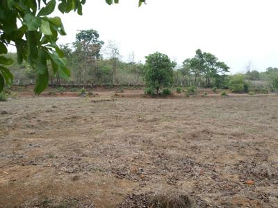 Image of 13250 Sq.ft Residential Plot / Land for sale in Bicholim, Goa for Rs. 140000000