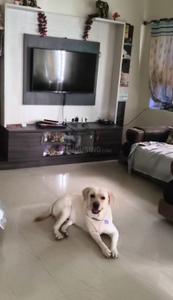 Hall Image of 1115 Sq.ft 2 BHK Apartment / Flat for sale in Himayath Nagar Hyderabad for Rs. 9000000