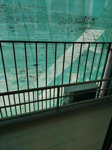 Living Room Image of 990 Sq.ft 3 BHK Apartment / Flat for sale in Saanvi Nirman Solace, South Bopal Ahmedabad for Rs. 7500000