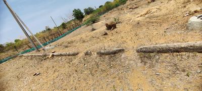 Image of 3123 Sq.ft Residential Plot / Land for sale in Maheshwaram, Hyderabad for Rs. 10000000