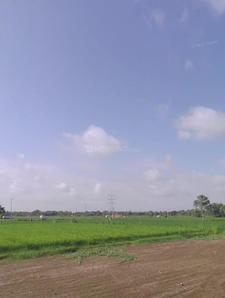Image of 17424 Sq.ft Residential Plot / Land for sale in Virsad, Anand for Rs. 1600000
