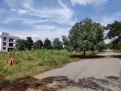 Residential Plot