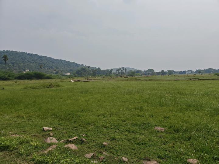 J C K Nagar, Chengalpattu Main Image 1