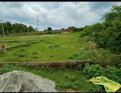 Residential Plot