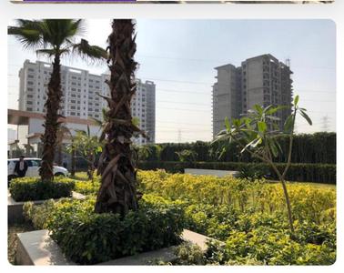 Image of 1700 Sq.ft 3 BHK Apartment / Flat for sale in Shree Vardhman Victoria, Sector 70, Gurgaon for Rs. 18000000