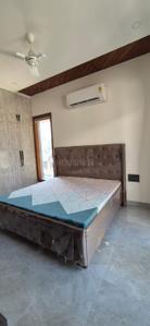 Bedroom Image of 2000 Sq.ft 3 BHK Builder Floor for rent in Sector 61 Mohali for Rs. 56000
