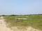 METRO PLEXCITY Plot View 2