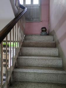 Staircase Image of 3400 Sq.ft 6 BHK Independent House for sale in Birati Kolkata for Rs. 22000000
