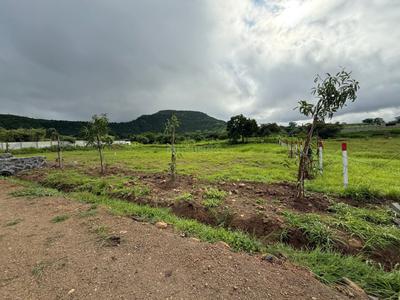 Image of 10764 Sq.ft Residential Plot / Land for sale in Asha Bramha Greens, Trimbak, Nashik for Rs. 3600000