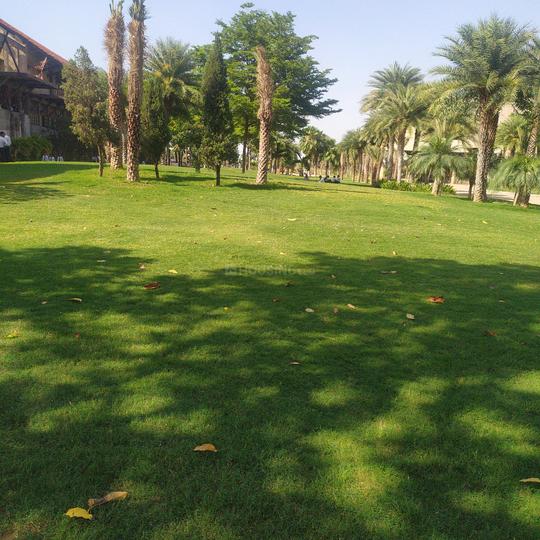 Jamtha Main Image 1