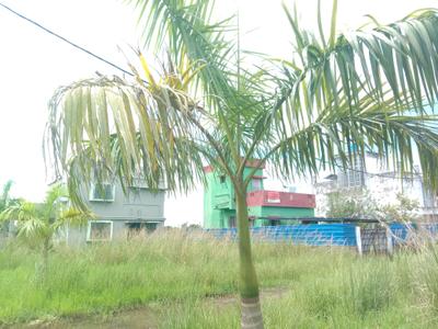Image of 1440 Sq.ft Residential Plot / Land for sale in Fresco Fountain City Plots, Sankharipota, Raypur for Rs. 640000