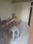 Uday society Bedroom 2
