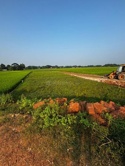 Phulnakhara Main Image 1