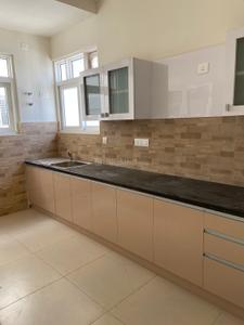 Kitchen Image of 1710 Sq.ft 3 BHK Apartment / Flat for rent in Prestige Falcon City, Konanakunte Bengaluru for Rs. 70000