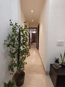 Hall Image of 900 Sq.ft 2 BHK Builder Floor for sale in Malviya Nagar New Delhi for Rs. 21000000