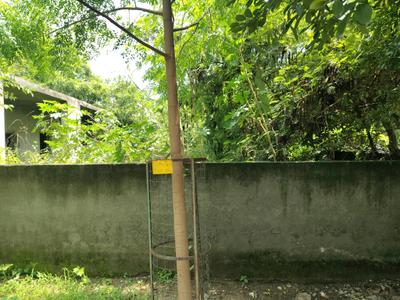 Image of 300 Sq.ft Residential Plot / Land for sale in Omega IV, Greater Noida for Rs. 42000000