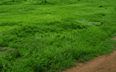 Image of 1200 Sq.ft Residential Plot / Land for sale in Sundarpada, Bhubaneswar for Rs. 582000