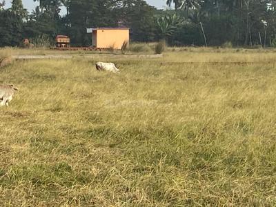 Image of 15000 Sq.ft Residential Plot / Land for sale in Hanspal, Bhubaneswar for Rs. 15000000