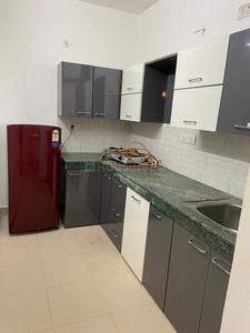 Kitchen Image of 910 Sq.ft 2 BHK Apartment / Flat for rent in DD Mittal Towers 1, Mehna Bathinda for Rs. 16000