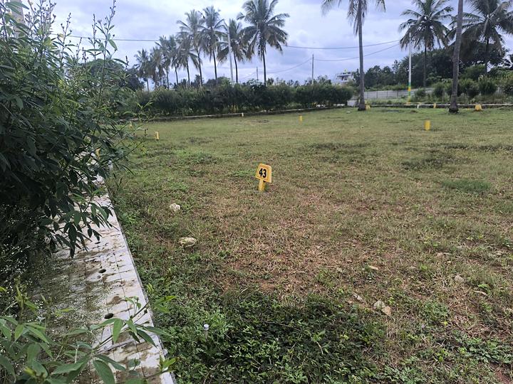 Doddaballapura Main Image 1