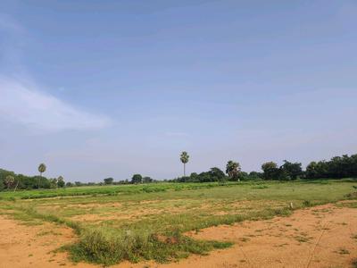 Image of 184 Sq.ft Residential Plot / Land for sale in Sampangi The Green Ridge, Alair, Yadadri Bhuvanagiri for Rs. 1800040
