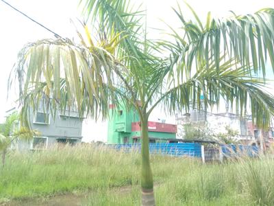Image of 1440 Sq.ft Residential Plot / Land for sale in Fresco Fountain City Plots, Sankharipota, Raypur for Rs. 520004
