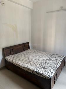 Bedroom Image of 1840 Sq.ft 3 BHK Apartment / Flat for rent in Navrangpura Ahmedabad for Rs. 45000