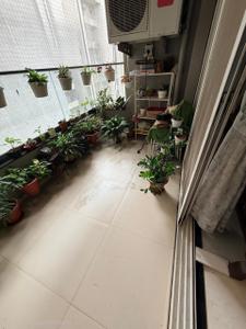 Balcony Image of 1185 Sq.ft 2 BHK Apartment / Flat for rent in Kothrud Pune for Rs. 50000