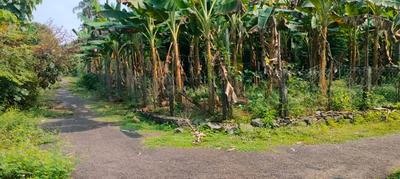 Image of 2178 Sq.ft Residential Plot / Land for sale in Kodaly, Thrissur for Rs. 1250000