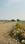 Doiwala Plot View 2