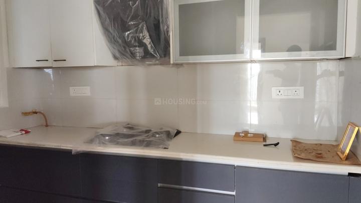 ATS Happy Trails Main Image 1