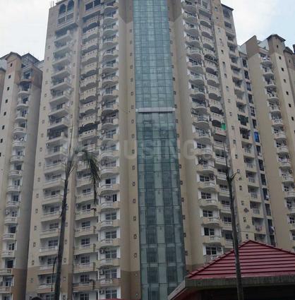 Amrapali Sapphire Main Image 1