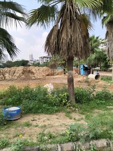 Sushant Lok 2 Plot View 2