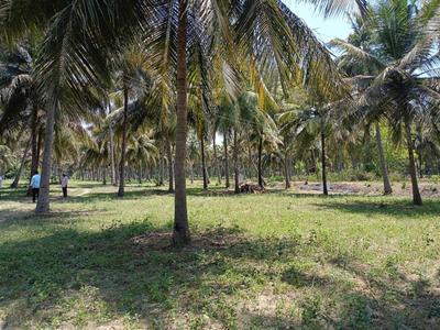 Image of 358499 Sq.ft 3 BHK Farm House for sale in Gudiyatham, Vellore for Rs. 150000000