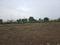 Perne Plot View 2