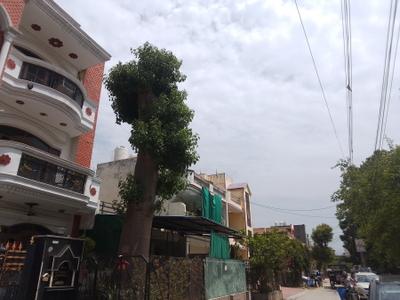 Image of 1440 Sq.ft 3 BHK Independent House for sale in Sector 8, Faridabad for Rs. 29000000