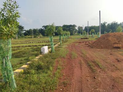 Image of 1200 Sq.ft Residential Plot / Land for sale in Balianta, Bhubaneswar for Rs. 1440000